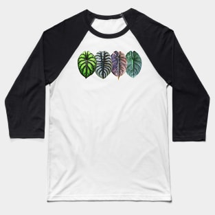 JEWEL ALOCASIA Baseball T-Shirt